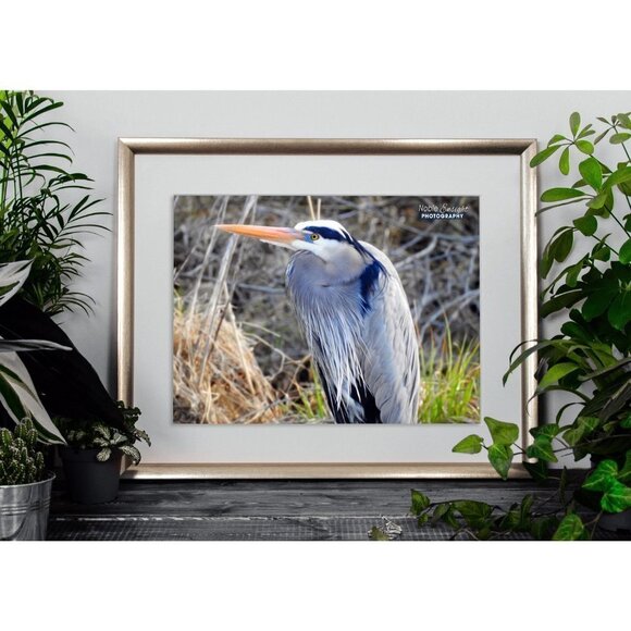 8x10 Heron Photography Print Bird Oil‎ Painting Fine Art Photography Print - Picture 3 of 3